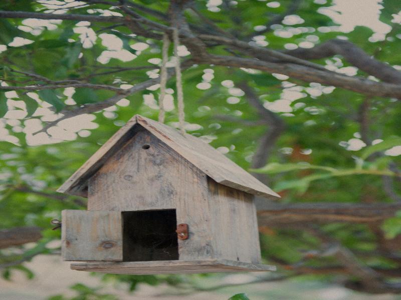 Los Telares Hermigua Εξωτερικό φωτογραφία